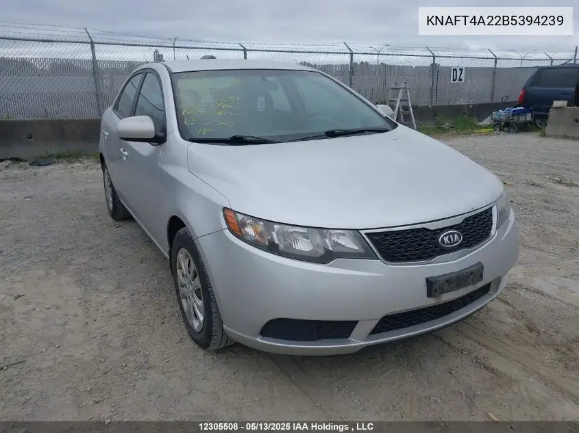 2011 Kia Forte Lx VIN: KNAFT4A22B5394239 Lot: 12305508