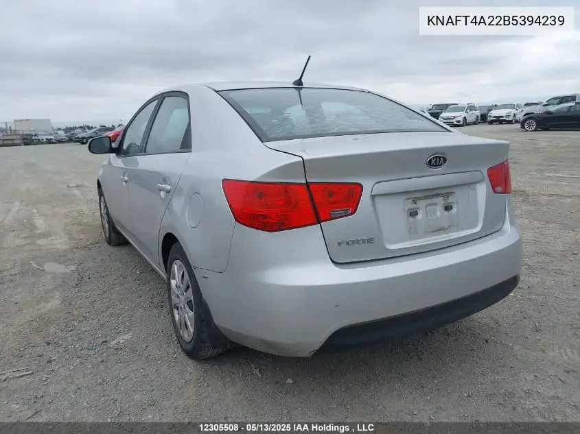 2011 Kia Forte Lx VIN: KNAFT4A22B5394239 Lot: 12305508