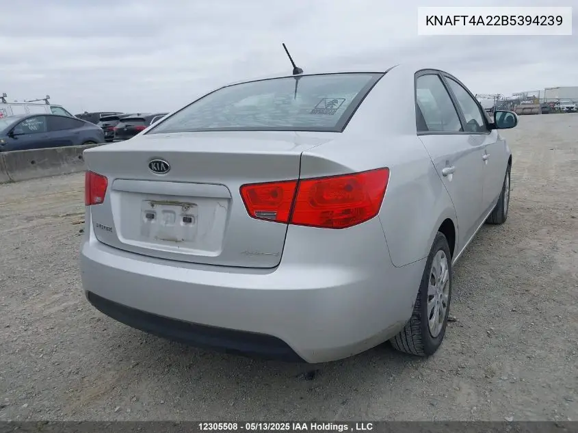 2011 Kia Forte Lx VIN: KNAFT4A22B5394239 Lot: 12305508