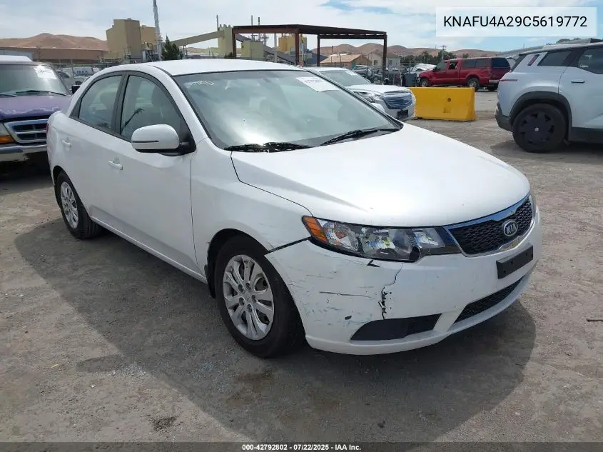 2012 Kia Forte Ex VIN: KNAFU4A29C5619772 Lot: 42792802