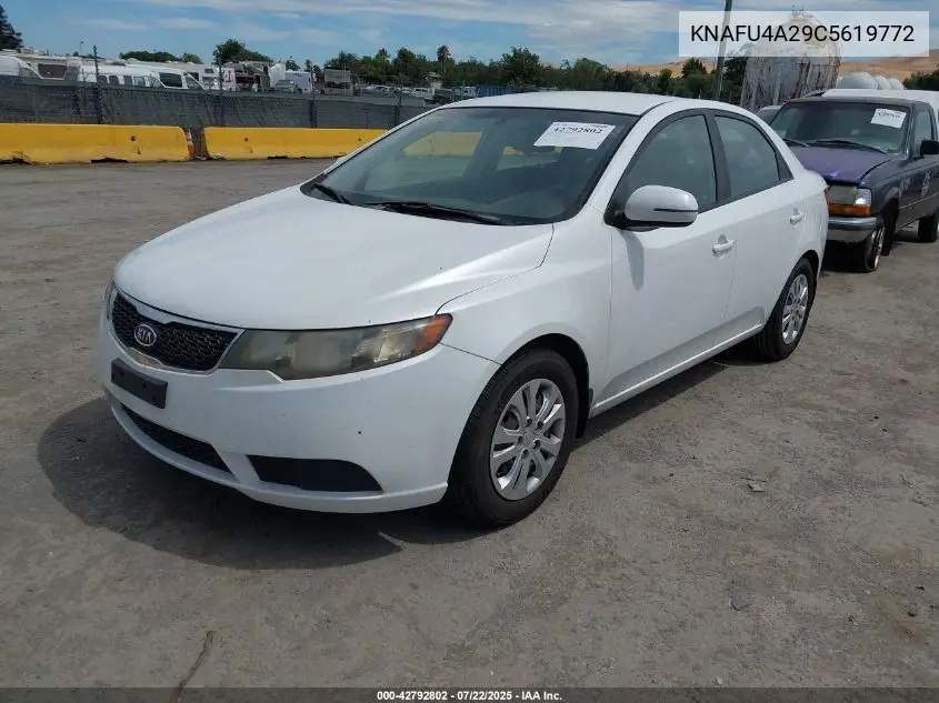 2012 Kia Forte Ex VIN: KNAFU4A29C5619772 Lot: 42792802