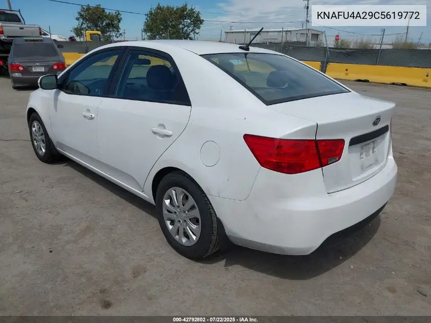 2012 Kia Forte Ex VIN: KNAFU4A29C5619772 Lot: 42792802