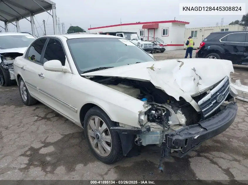 2004 Kia Optima Ex V6/Lx V6 VIN: KNAGD128445308824 Lot: 41895134
