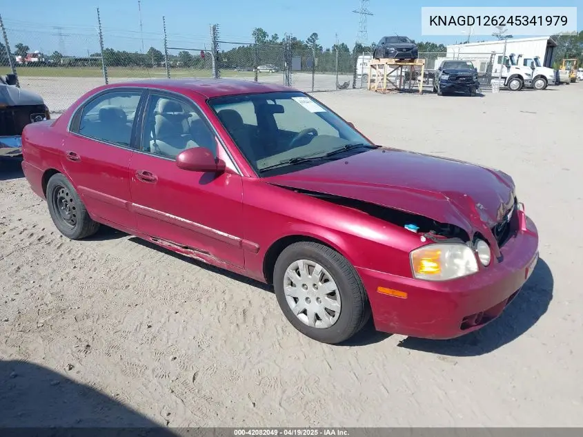 2004 Kia Optima Ex/Lx VIN: KNAGD126245341979 Lot: 42082049