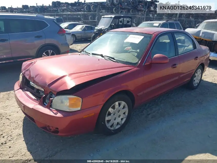 2004 Kia Optima Ex/Lx VIN: KNAGD126245341979 Lot: 42082049