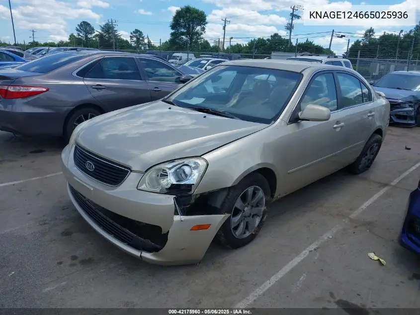 2006 Kia Optima Ex V6 (New)/Lx V6 (New) VIN: KNAGE124665025936 Lot: 42175960