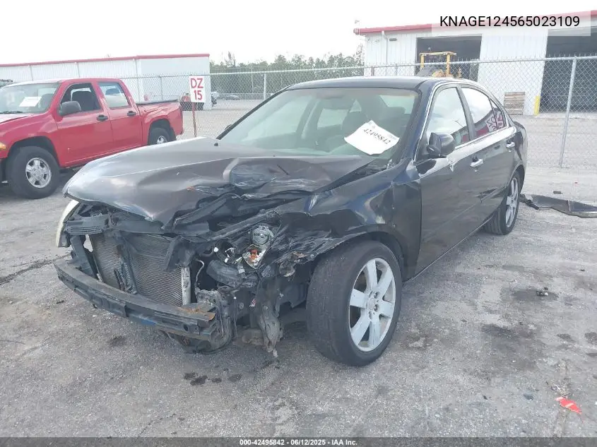 2006 Kia Optima Ex V6 (New)/Lx V6 (New) VIN: KNAGE124565023109 Lot: 42495842