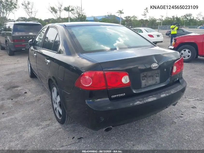 2006 Kia Optima Ex V6 (New)/Lx V6 (New) VIN: KNAGE124565023109 Lot: 42495842