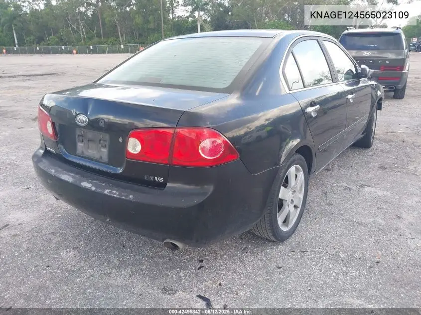 2006 Kia Optima Ex V6 (New)/Lx V6 (New) VIN: KNAGE124565023109 Lot: 42495842