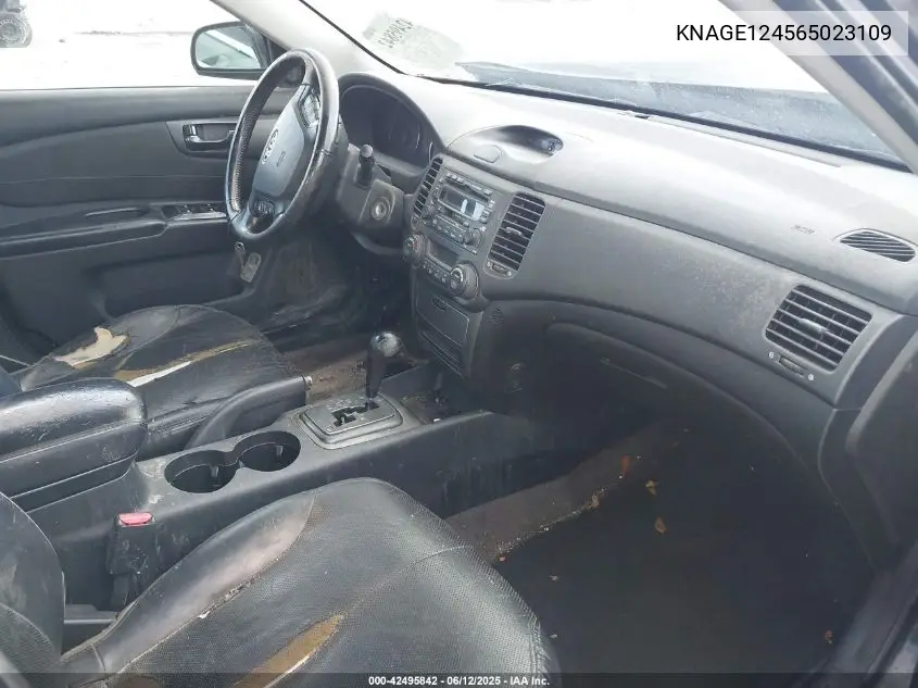 2006 Kia Optima Ex V6 (New)/Lx V6 (New) VIN: KNAGE124565023109 Lot: 42495842