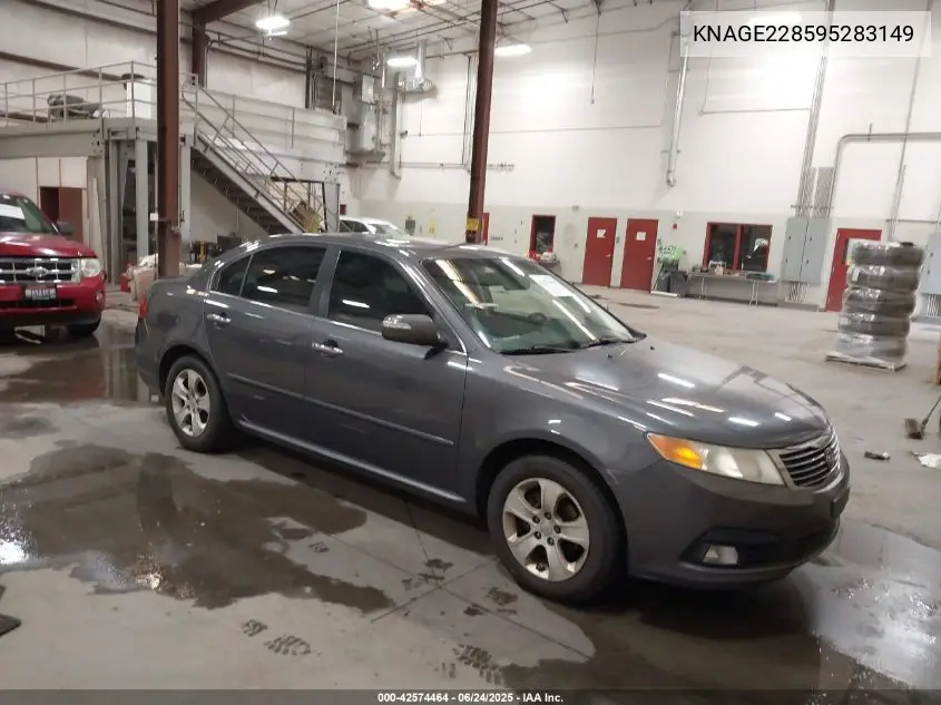2009 Kia Optima Ex VIN: KNAGE228595283149 Lot: 42574464