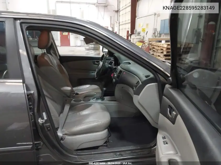 2009 Kia Optima Ex VIN: KNAGE228595283149 Lot: 42574464
