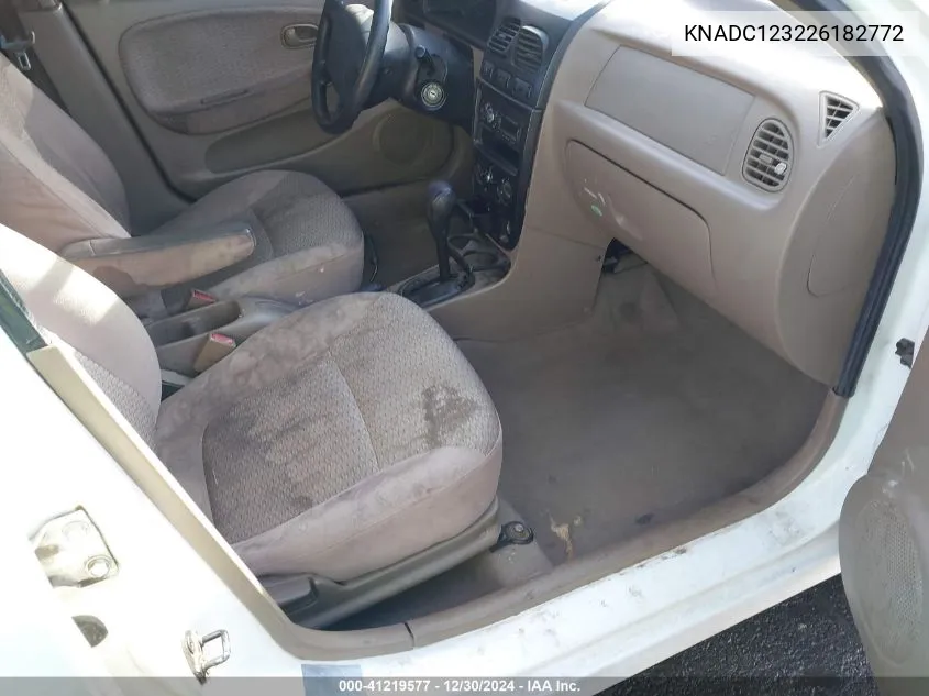 2002 Kia Rio VIN: KNADC123226182772 Lot: 41219577