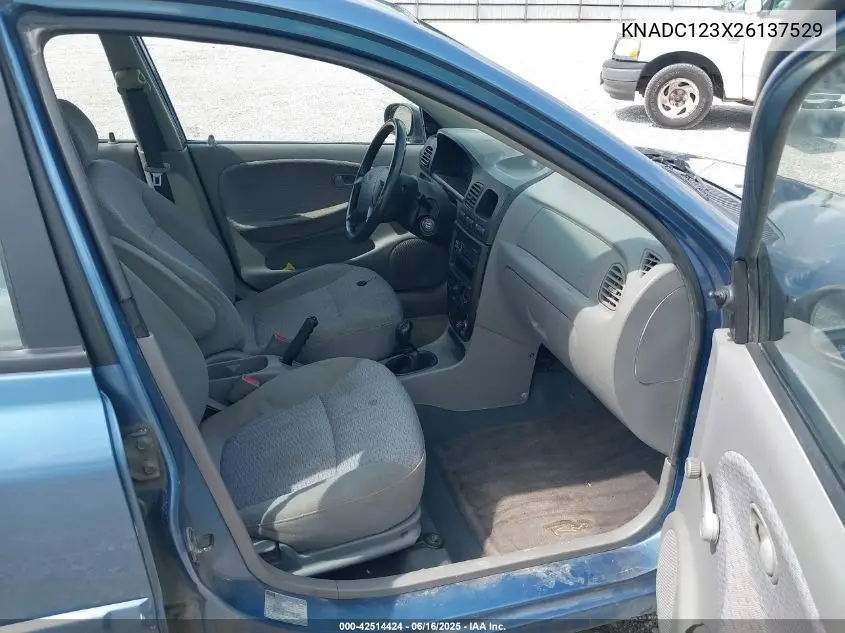 2002 Kia Rio VIN: KNADC123X26137529 Lot: 42514424