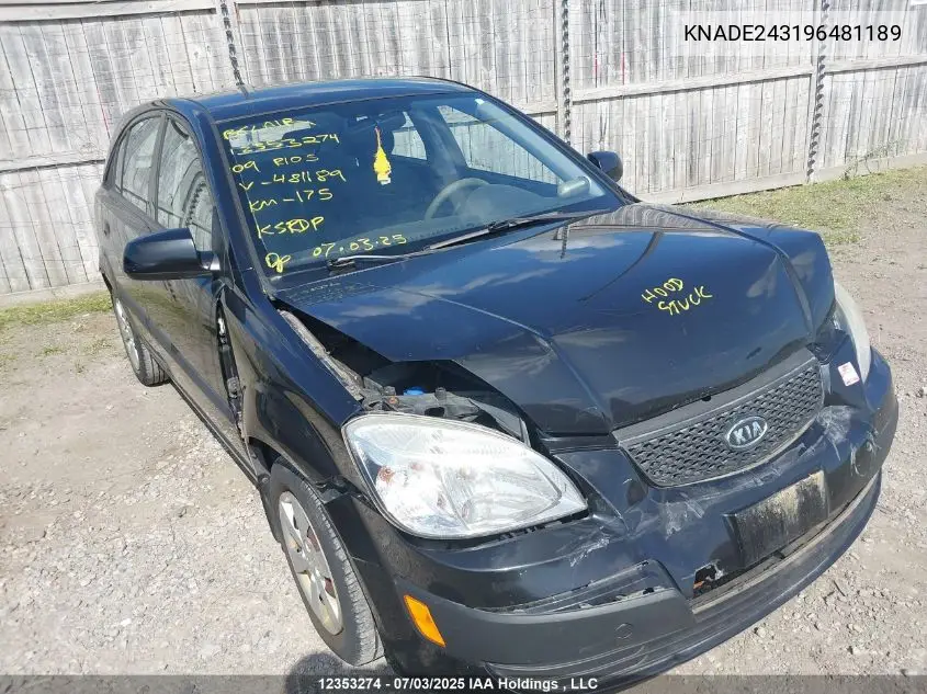 2009 Kia Rio5 Ex/Ex-Convenience/Ex-Sport VIN: KNADE243196481189 Lot: 12353274