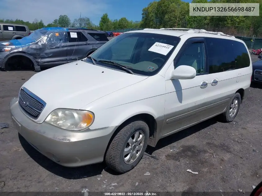 2005 Kia Sedona Ex/Lx VIN: KNDUP132656698487 Lot: 42219933