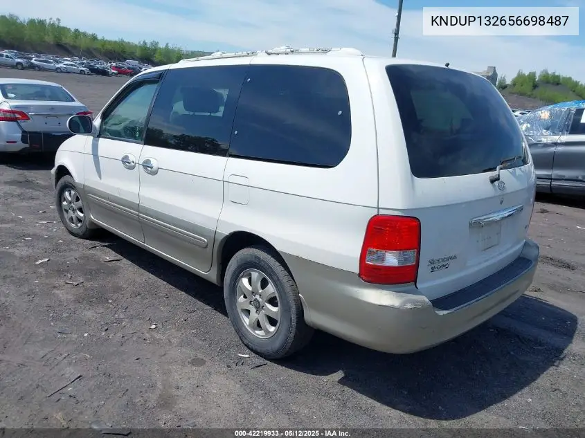 2005 Kia Sedona Ex/Lx VIN: KNDUP132656698487 Lot: 42219933