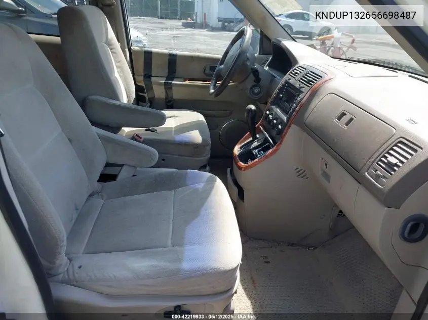 2005 Kia Sedona Ex/Lx VIN: KNDUP132656698487 Lot: 42219933
