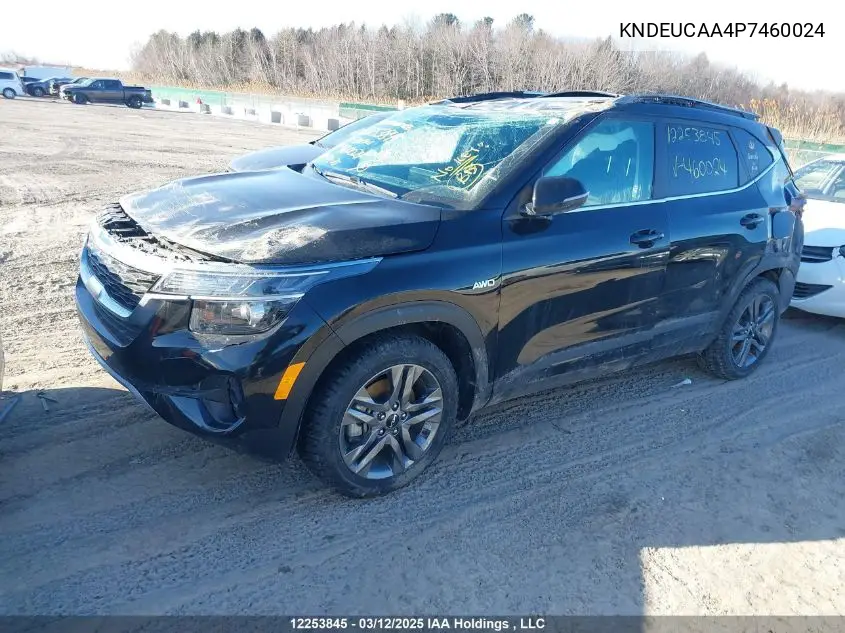 2023 Kia Seltos S VIN: KNDEUCAA4P7460024 Lot: 12253845