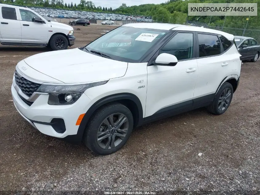 2023 Kia Seltos Lx VIN: KNDEPCAA2P7442645 Lot: 42615831