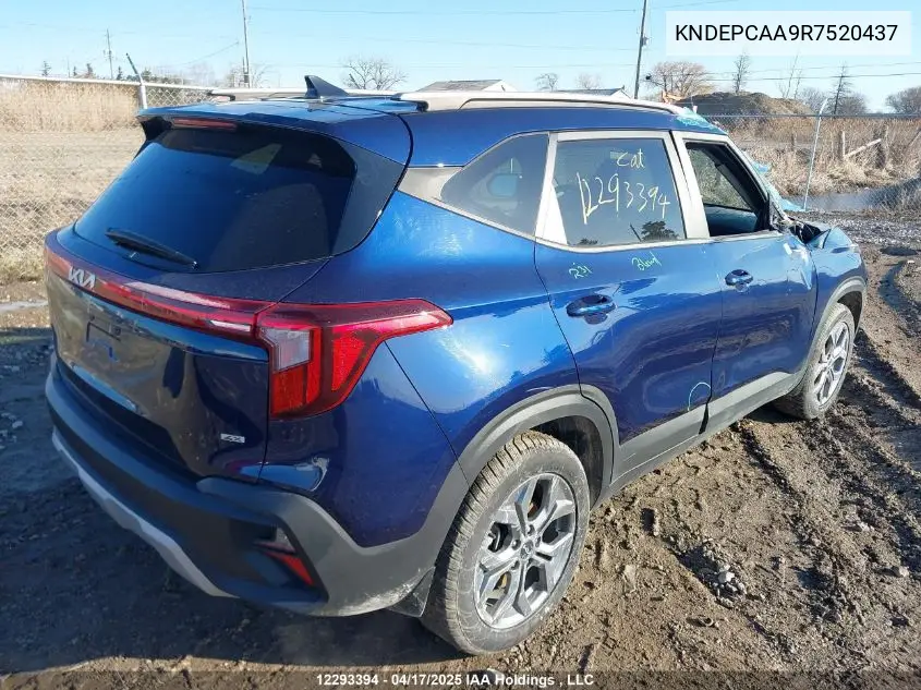 2024 Kia Seltos VIN: KNDEPCAA9R7520437 Lot: 12293394