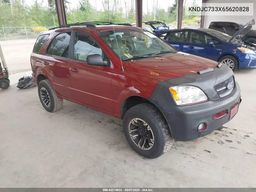 2006 Kia Sorento Ex/Lx VIN: KNDJC733X65620828 Lot: 42218632