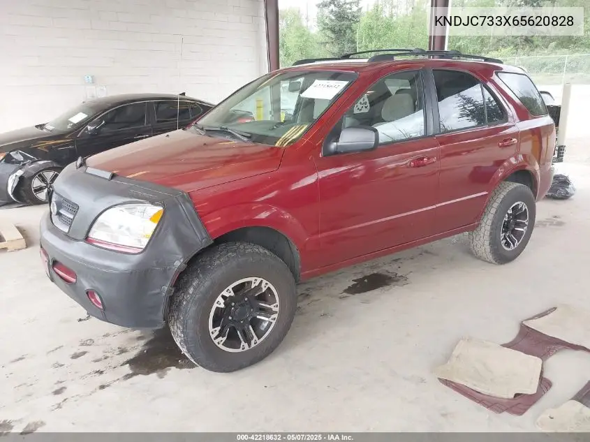 2006 Kia Sorento Ex/Lx VIN: KNDJC733X65620828 Lot: 42218632
