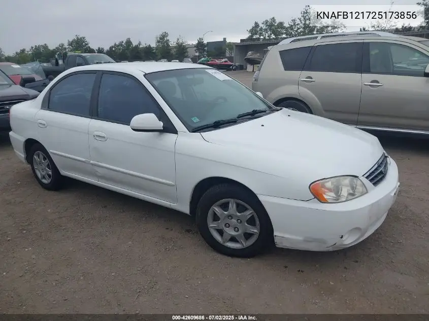 2002 Kia Spectra Ls VIN: KNAFB121725173856 Lot: 42609686