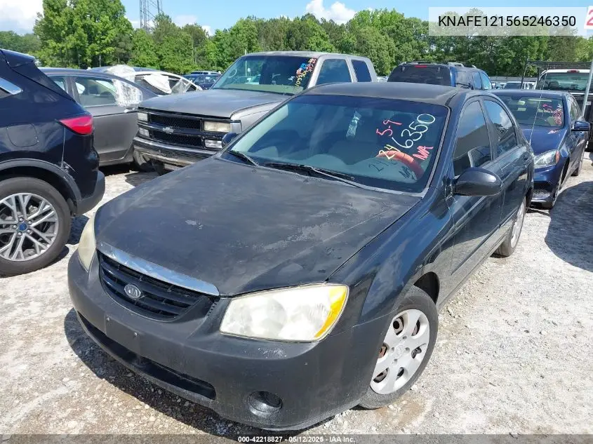 2006 Kia Spectra Ex/Lx/Sx VIN: KNAFE121565246350 Lot: 42218827