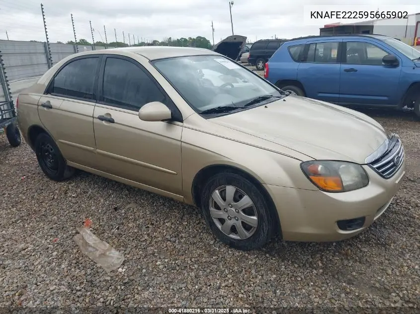 2009 Kia Spectra Ex VIN: KNAFE222595665902 Lot: 41880216