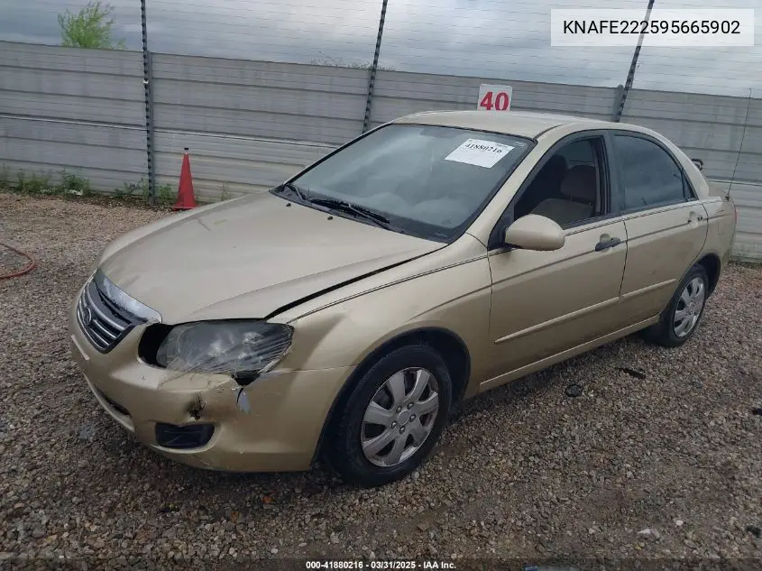 2009 Kia Spectra Ex VIN: KNAFE222595665902 Lot: 41880216