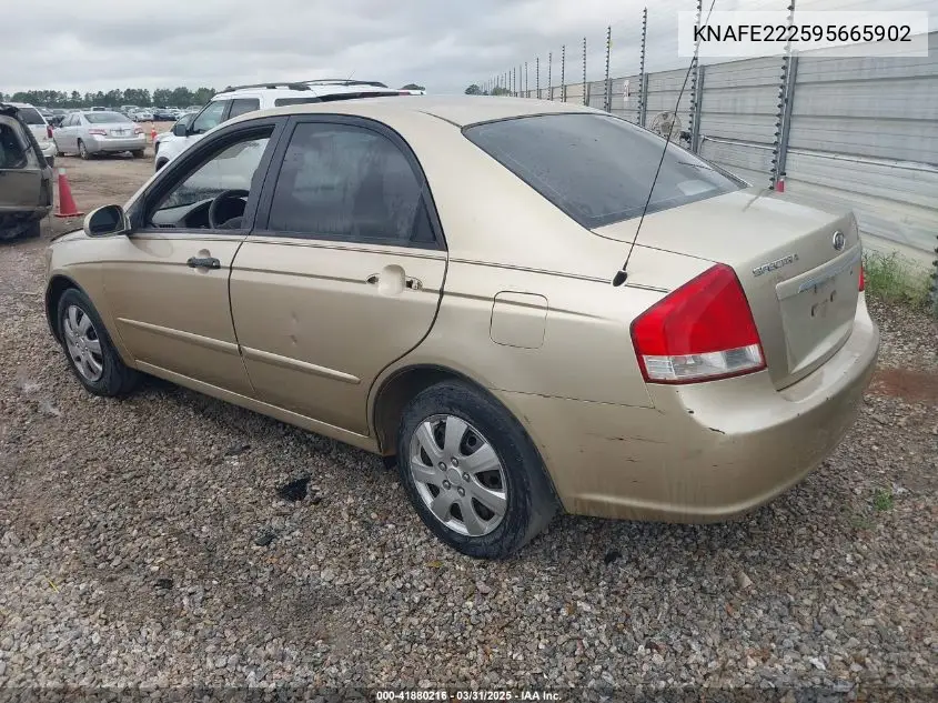 2009 Kia Spectra Ex VIN: KNAFE222595665902 Lot: 41880216