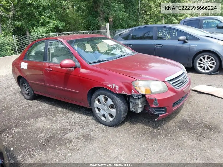 2009 Kia Spectra Ex VIN: KNAFE222395666224 Lot: 42546378