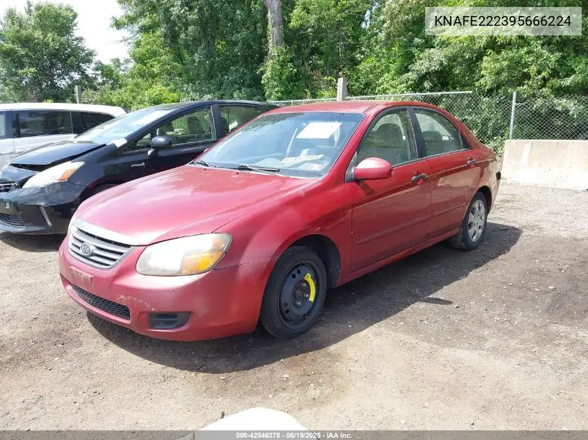 2009 Kia Spectra Ex VIN: KNAFE222395666224 Lot: 42546378