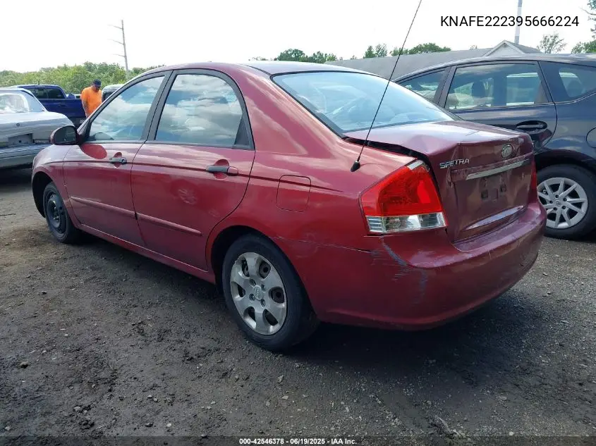 2009 Kia Spectra Ex VIN: KNAFE222395666224 Lot: 42546378