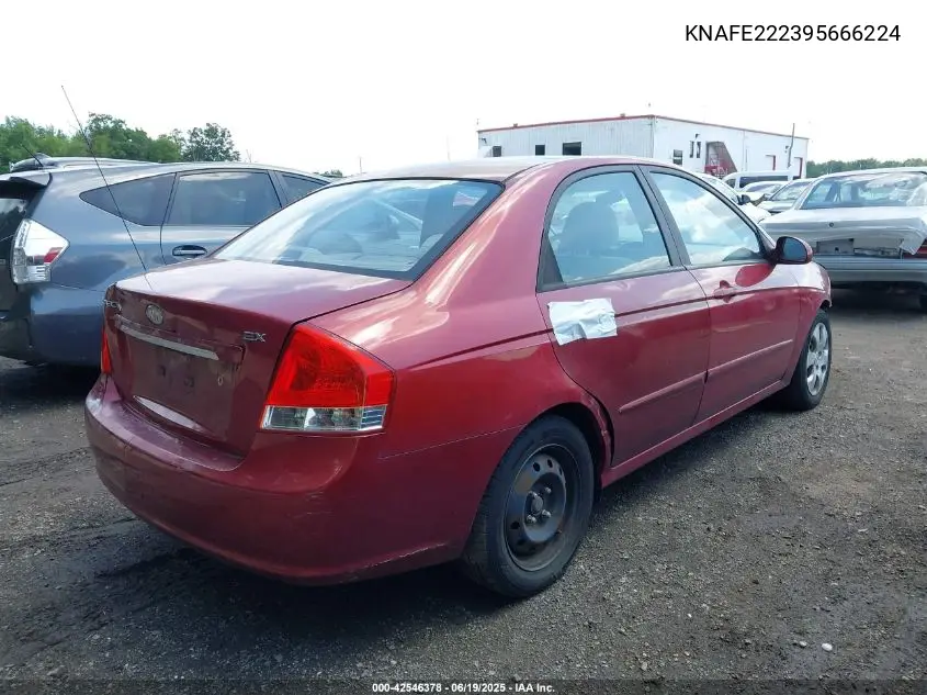 2009 Kia Spectra Ex VIN: KNAFE222395666224 Lot: 42546378