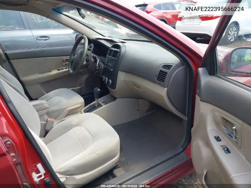 2009 Kia Spectra Ex VIN: KNAFE222395666224 Lot: 42546378