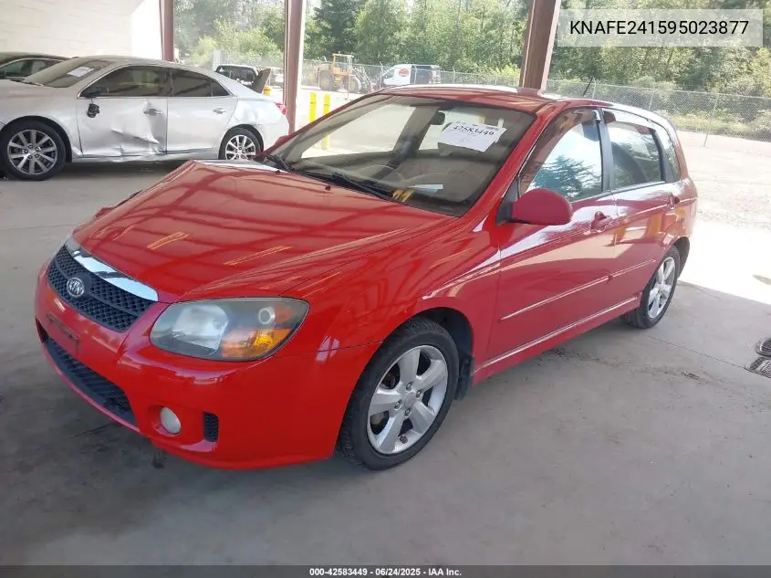 2009 Kia Spectra5 Sx VIN: KNAFE241595023877 Lot: 42583449