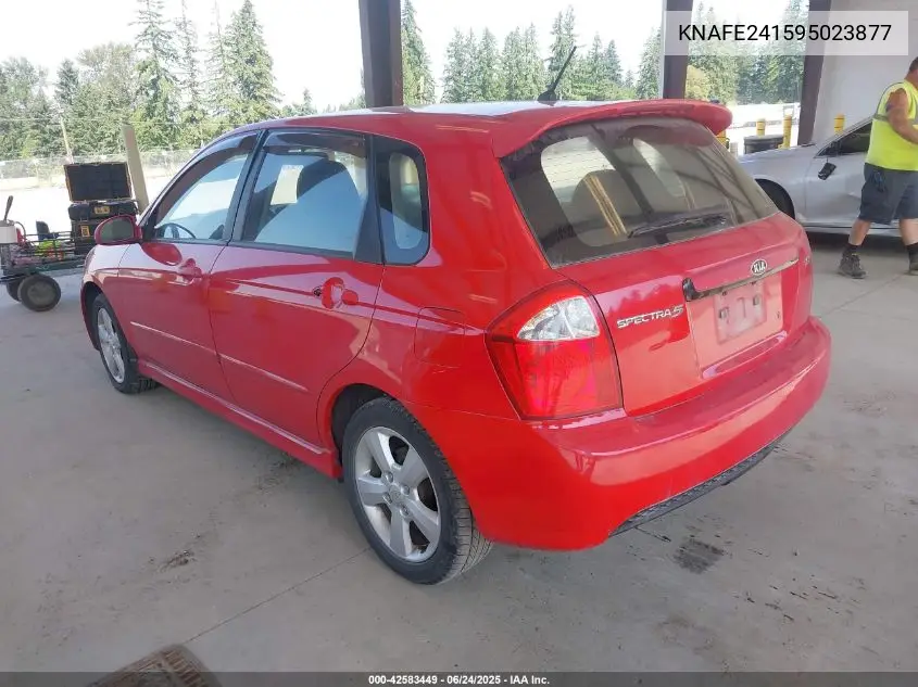 2009 Kia Spectra5 Sx VIN: KNAFE241595023877 Lot: 42583449
