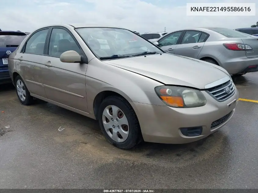 2009 Kia Spectra Ex VIN: KNAFE221495586616 Lot: 42677627