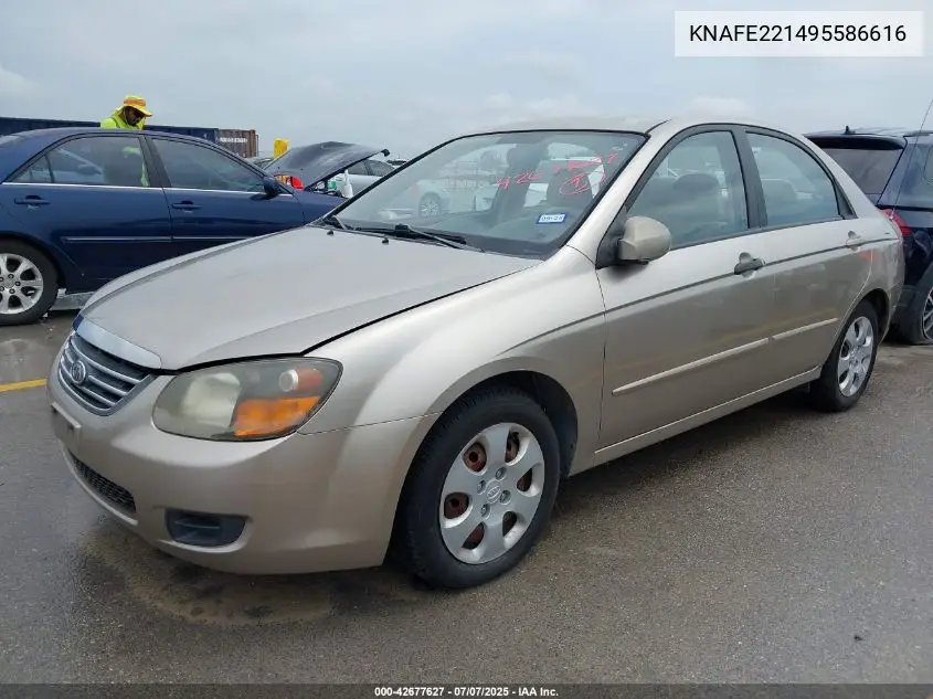 2009 Kia Spectra Ex VIN: KNAFE221495586616 Lot: 42677627
