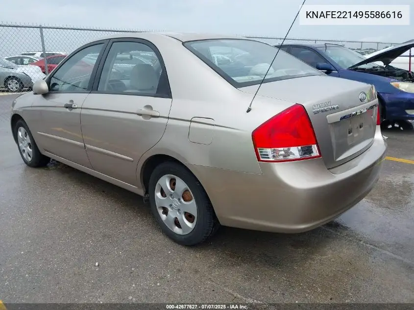 2009 Kia Spectra Ex VIN: KNAFE221495586616 Lot: 42677627