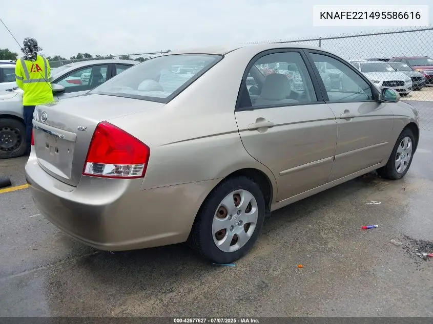2009 Kia Spectra Ex VIN: KNAFE221495586616 Lot: 42677627
