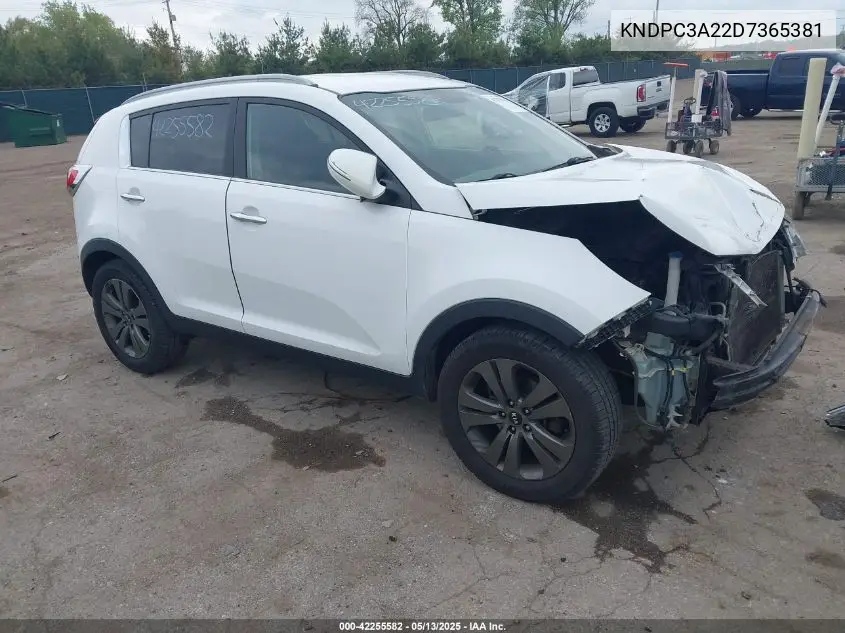 2013 Kia Sportage Ex VIN: KNDPC3A22D7365381 Lot: 42255582