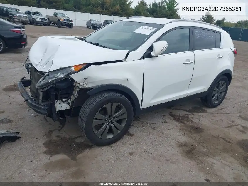 2013 Kia Sportage Ex VIN: KNDPC3A22D7365381 Lot: 42255582