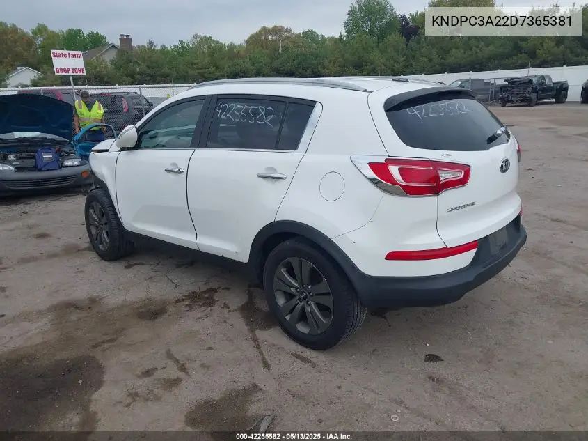2013 Kia Sportage Ex VIN: KNDPC3A22D7365381 Lot: 42255582