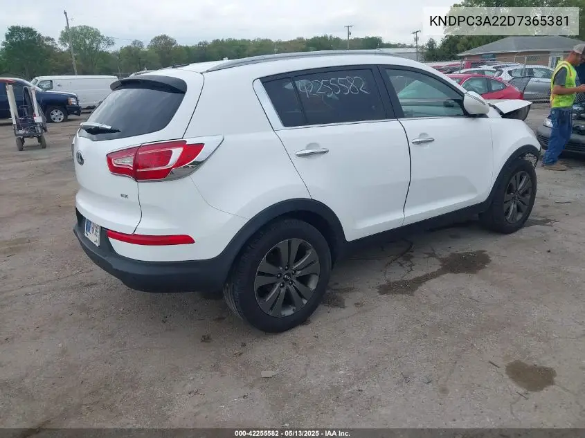 2013 Kia Sportage Ex VIN: KNDPC3A22D7365381 Lot: 42255582