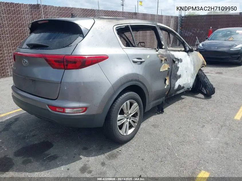 2017 Kia Sportage Lx VIN: KNDPM3AC2H7109950 Lot: 42256606