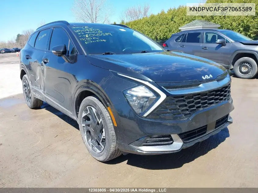 2023 Kia Sportage Ex/Ex Premium W/Black Interior/Ex Premium W/Red Interior VIN: KNDPVCAF3P7065589 Lot: 12303805