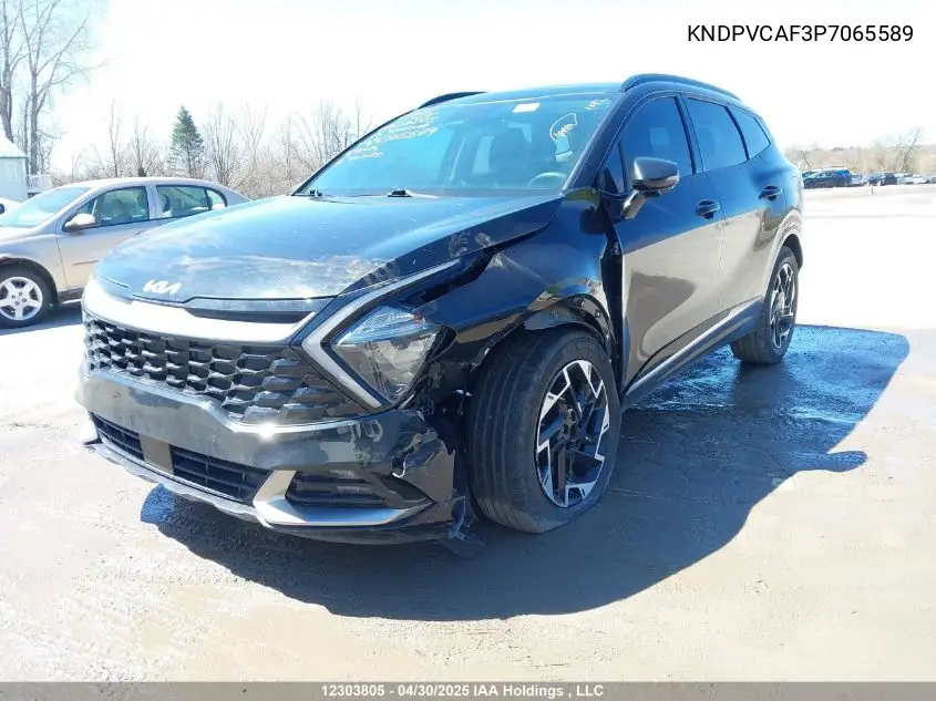 2023 Kia Sportage Ex/Ex Premium W/Black Interior/Ex Premium W/Red Interior VIN: KNDPVCAF3P7065589 Lot: 12303805